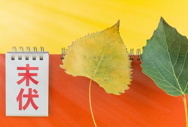末伏第一天，來吃個(gè)張成榮大雞腿吧！