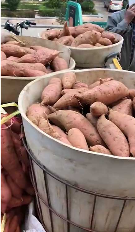 那么，學校周圍秋冬賣什么最賺錢？