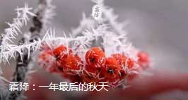 2018霜降來臨：張成榮電烤雞架邀你一起進(jìn)入養(yǎng)生季！