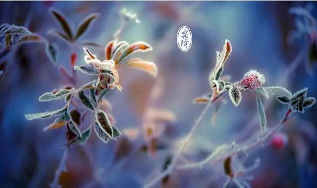 2018霜降來臨：張成榮電烤雞架邀你一起進入養(yǎng)生季！