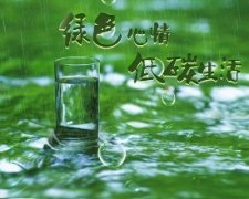 張成榮電烤雞架，爭做綠色低碳餐飲小吃先鋒品牌！